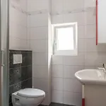 Smokvina Daire